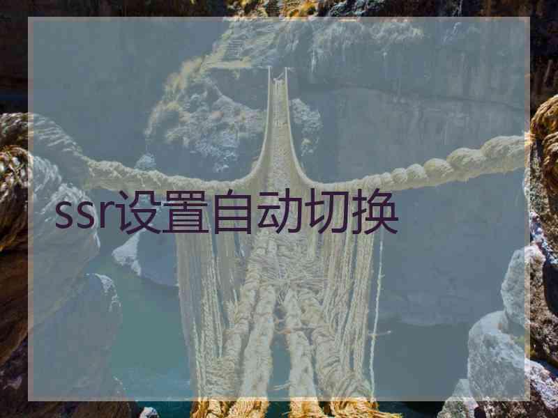 ssr设置自动切换