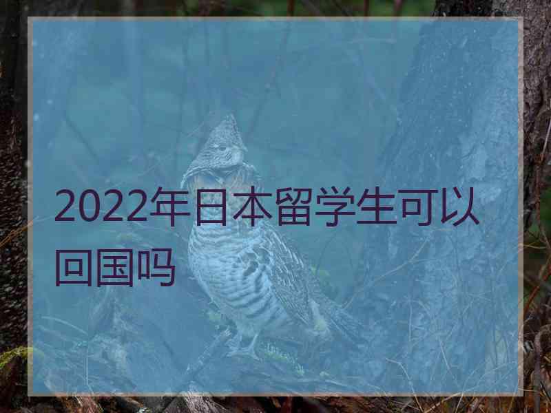 2022年日本留学生可以回国吗