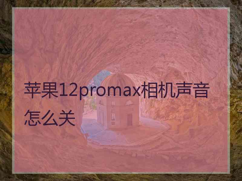 苹果12promax相机声音怎么关