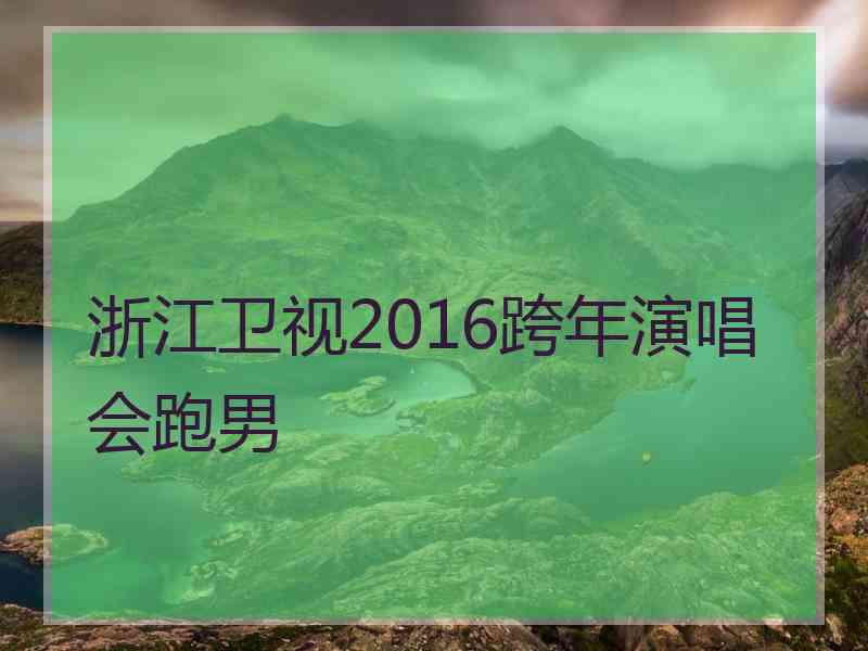 浙江卫视2016跨年演唱会跑男