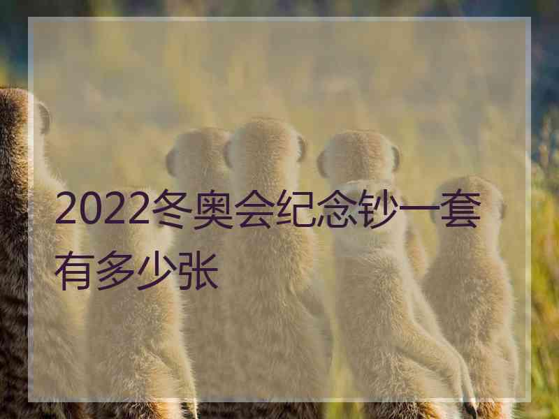 2022冬奥会纪念钞一套有多少张