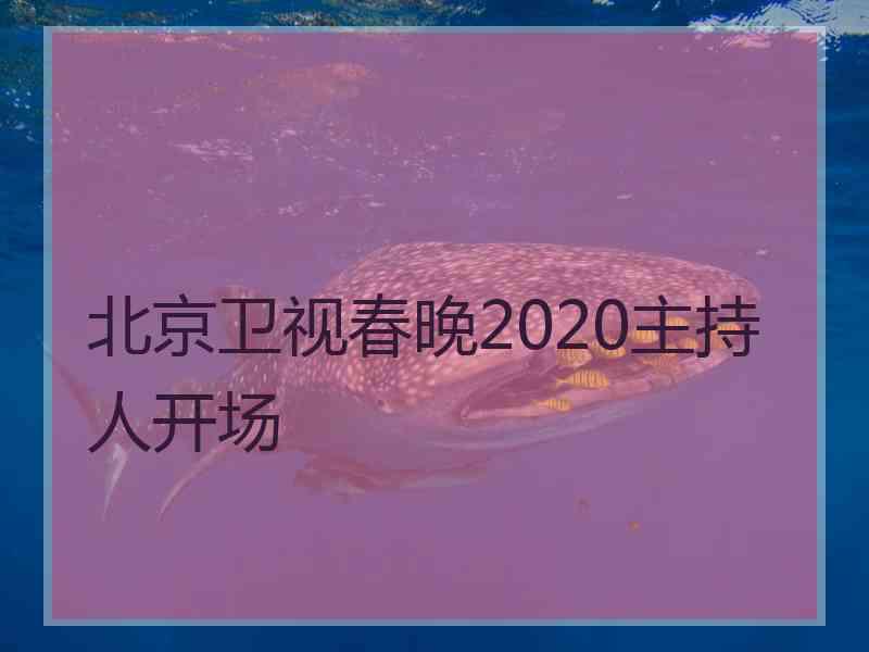 北京卫视春晚2020主持人开场