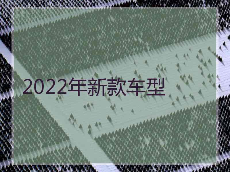 2022年新款车型