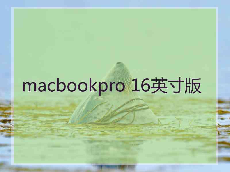 macbookpro 16英寸版