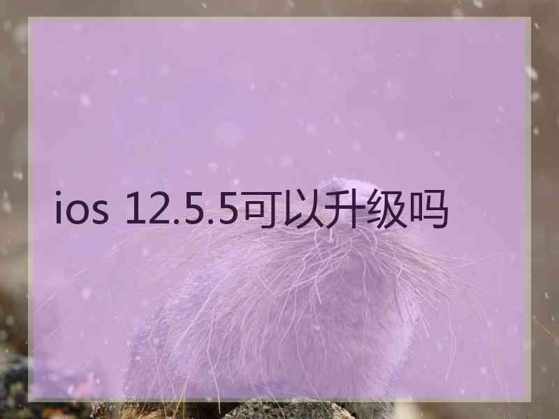 ios 12.5.5可以升级吗