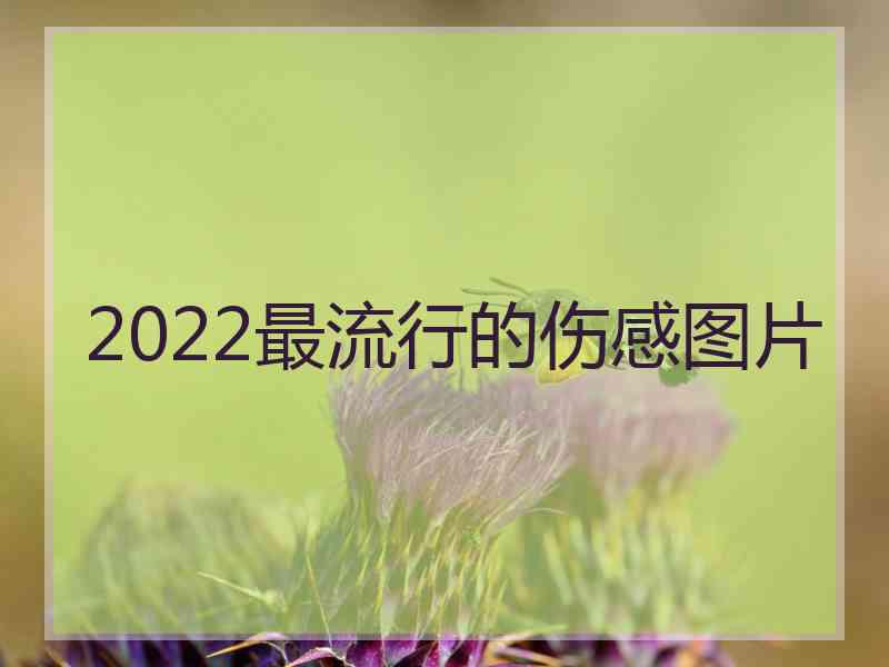 2022最流行的伤感图片