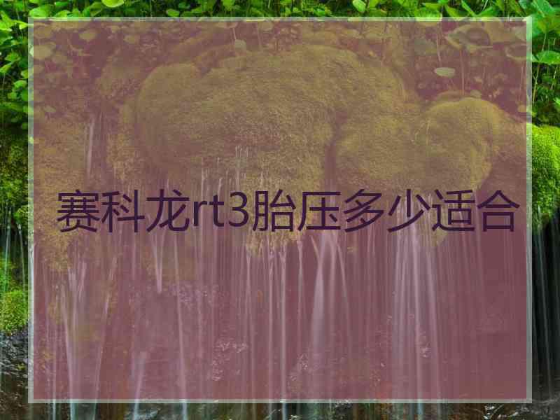 赛科龙rt3胎压多少适合