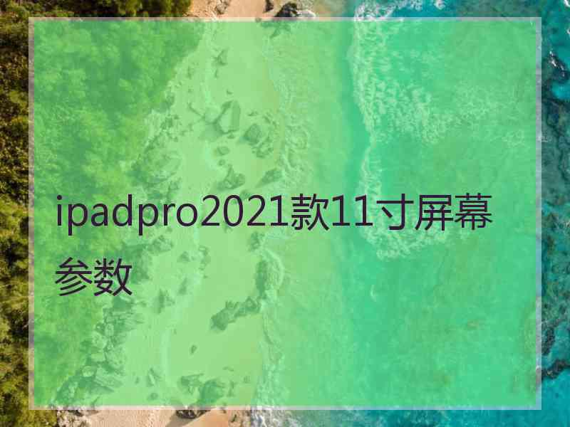 ipadpro2021款11寸屏幕参数