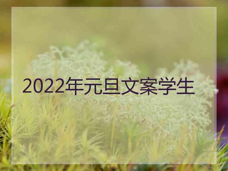 2022年元旦文案学生