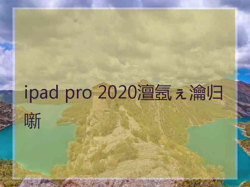 ipad pro 2020澶氬ぇ瀹归噺