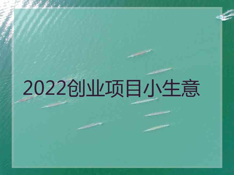 2022创业项目小生意