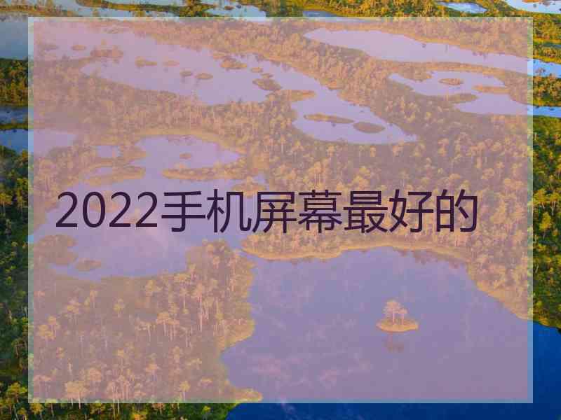 2022手机屏幕最好的