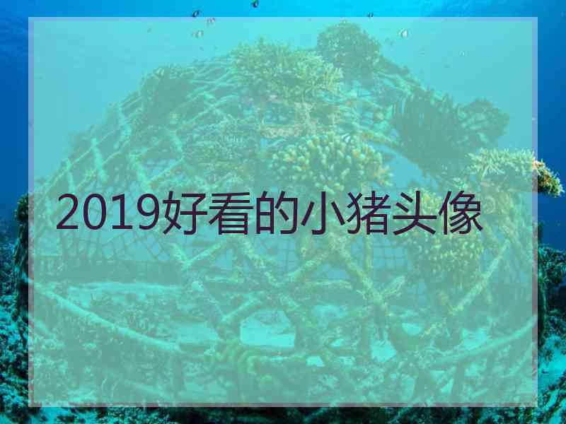 2019好看的小猪头像