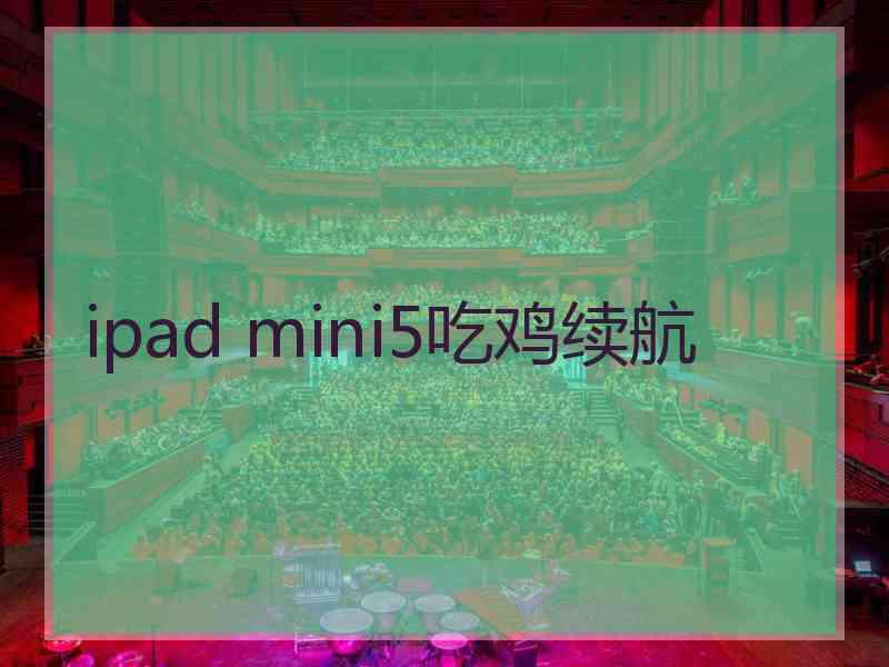 ipad mini5吃鸡续航