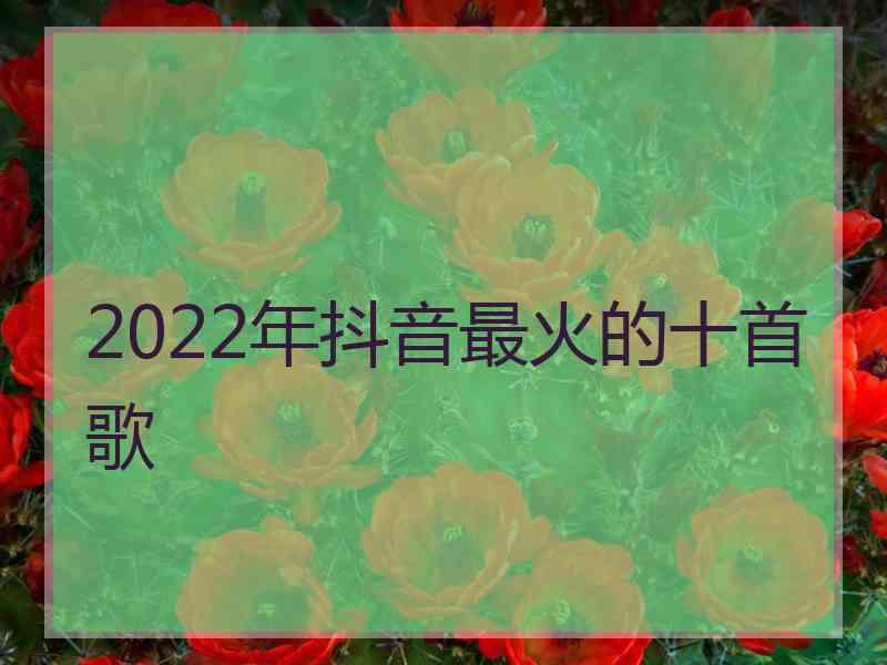 2022年抖音最火的十首歌