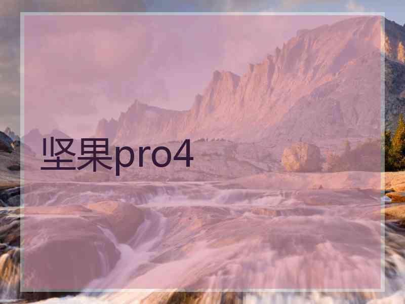 坚果pro4