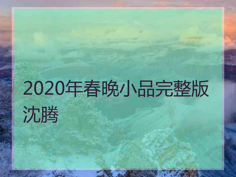 2020年春晚小品完整版沈腾