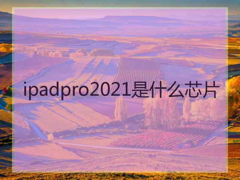 ipadpro2021是什么芯片