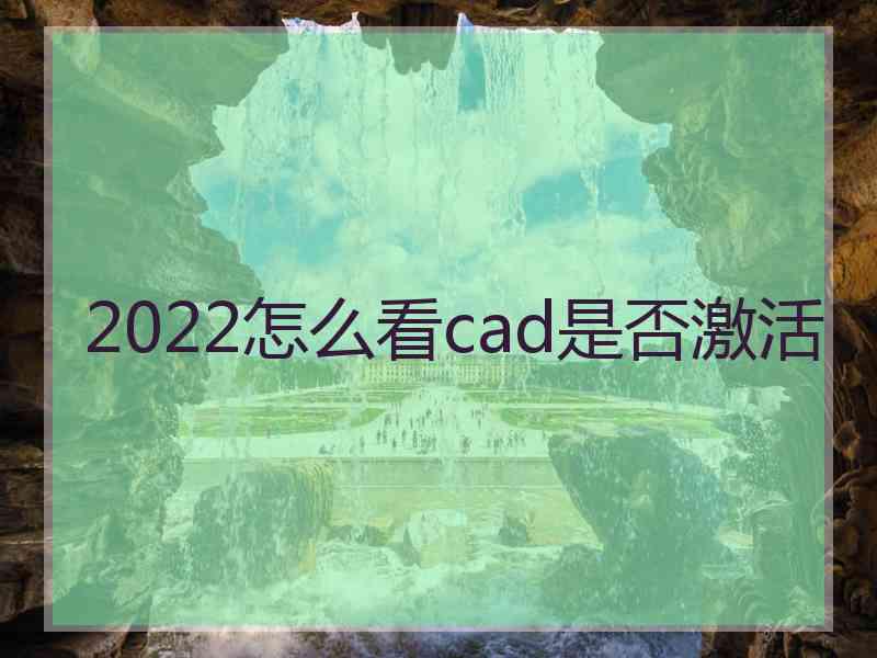 2022怎么看cad是否激活