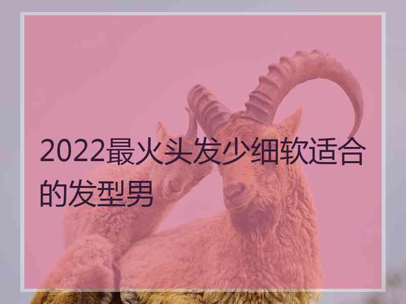 2022最火头发少细软适合的发型男