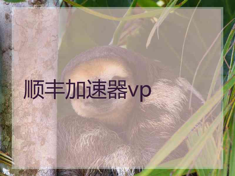 顺丰加速器vp