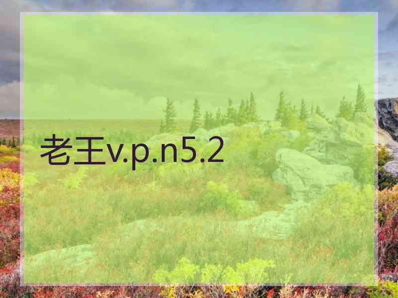 老王v.p.n5.2