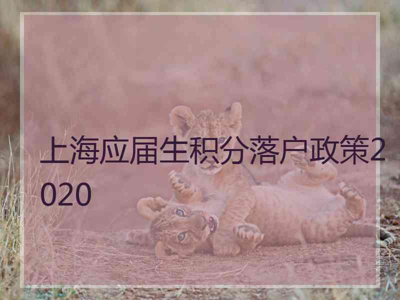 上海应届生积分落户政策2020