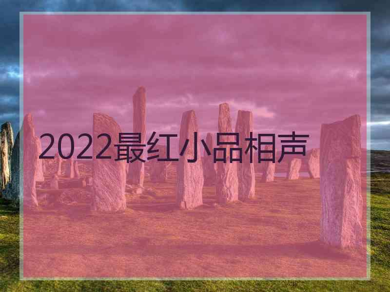 2022最红小品相声