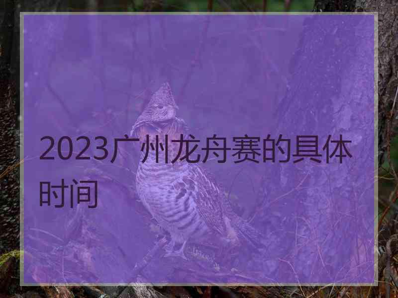 2023广州龙舟赛的具体时间