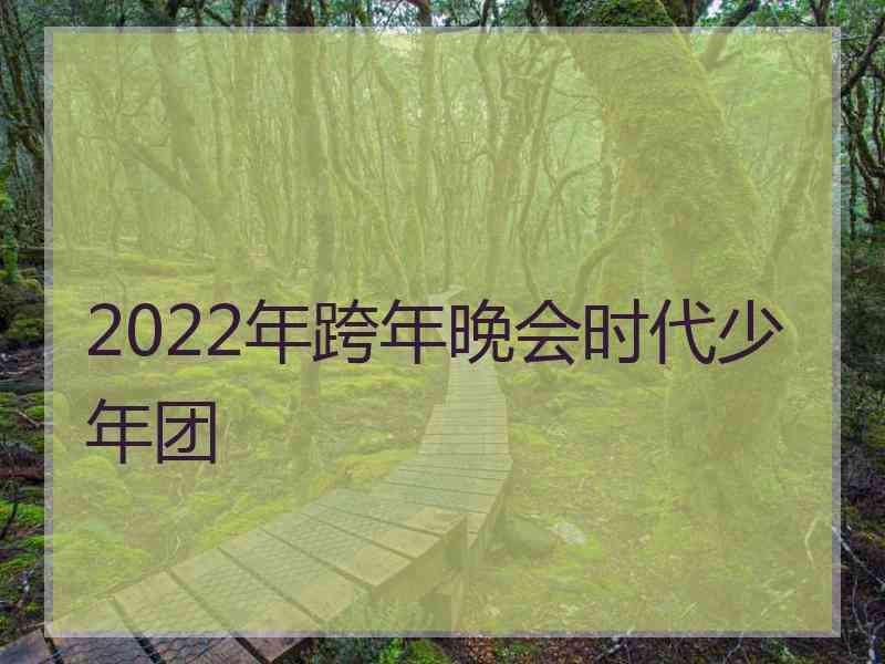 2022年跨年晚会时代少年团