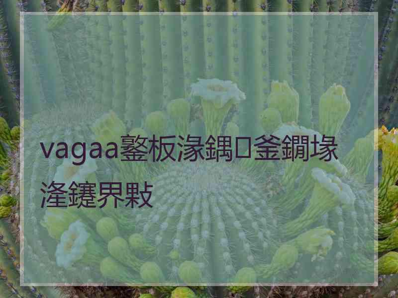 vagaa鐜板湪鍝釜鐗堟湰鑳界敤