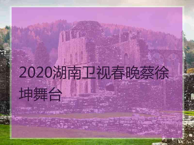 2020湖南卫视春晚蔡徐坤舞台