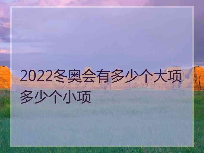 2022冬奥会有多少个大项多少个小项