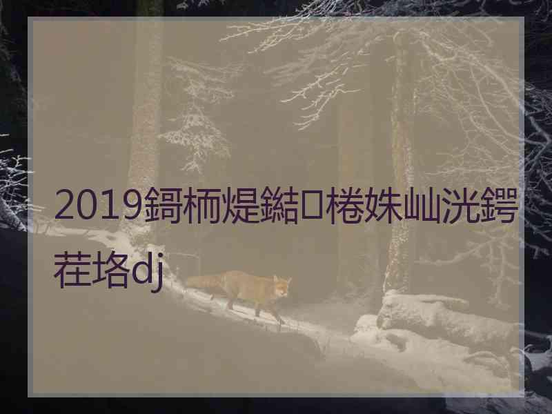 2019鎶栭煶鐑棬姝屾洸鍔茬垎dj