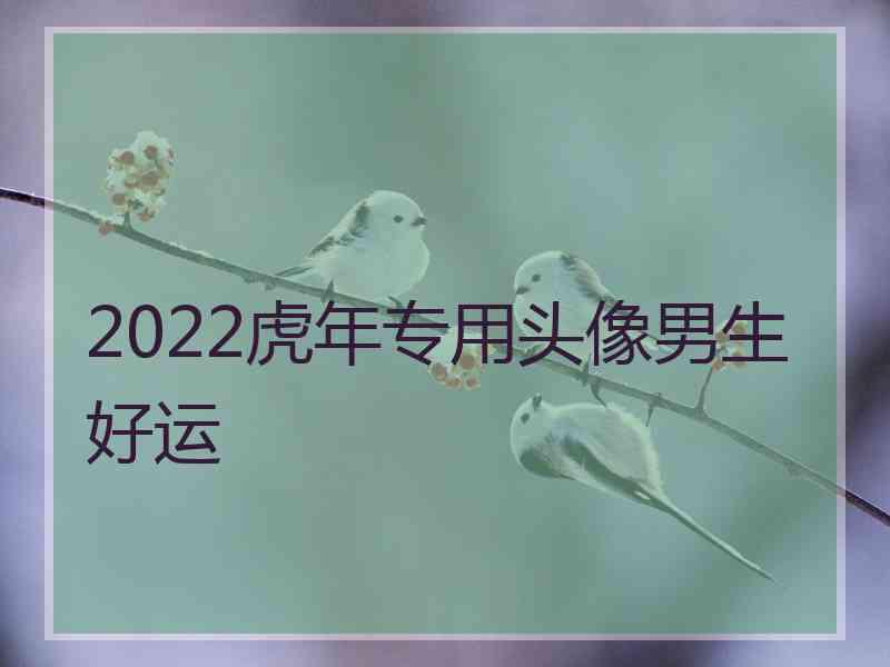 2022虎年专用头像男生好运