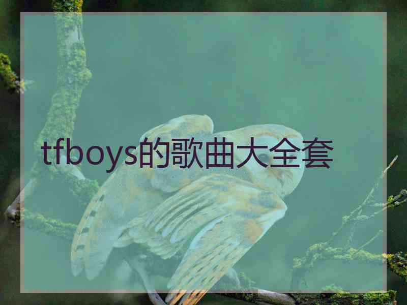 tfboys的歌曲大全套