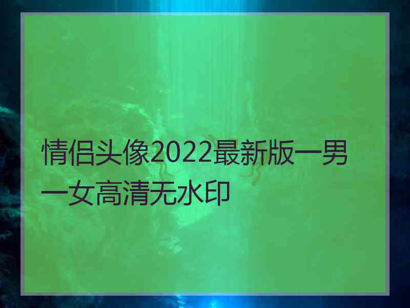 情侣头像2022最新版一男一女高清无水印