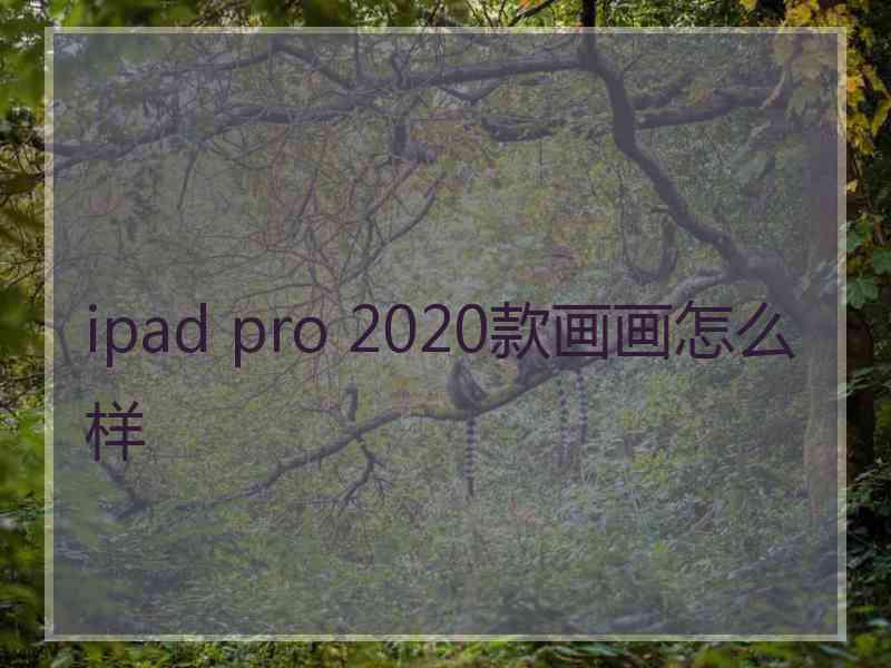 ipad pro 2020款画画怎么样