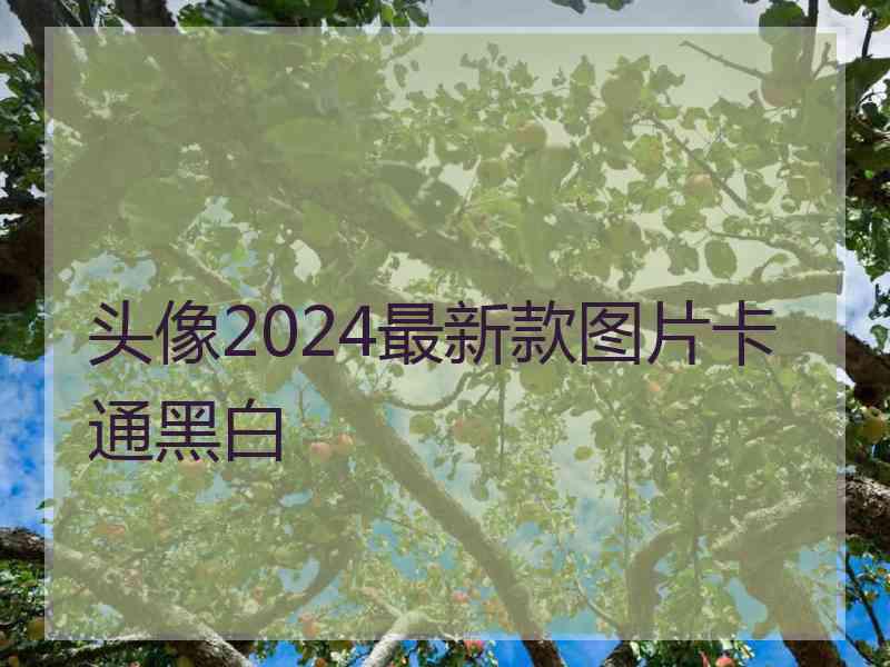 头像2024最新款图片卡通黑白