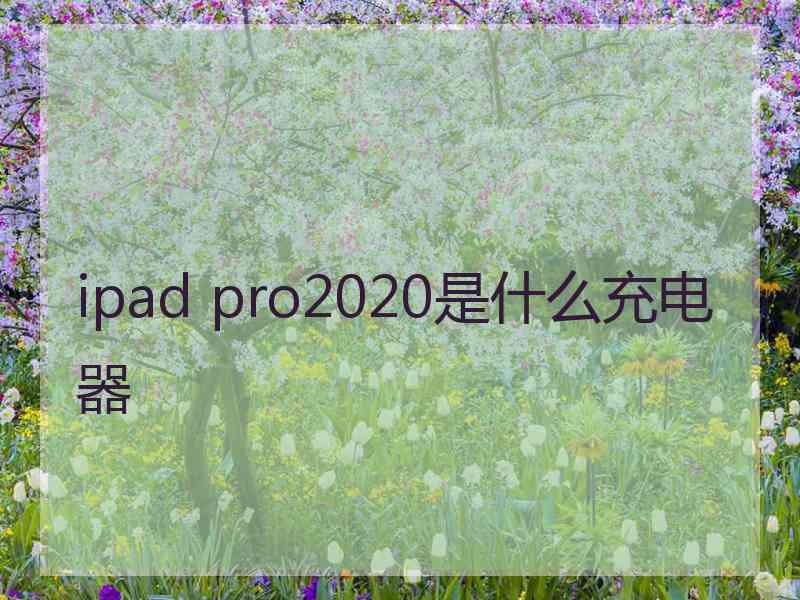 ipad pro2020是什么充电器