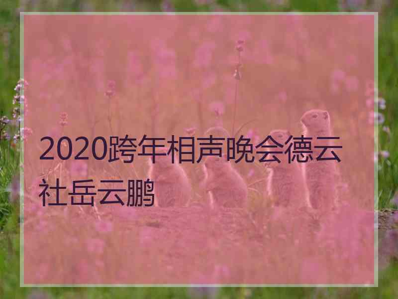 2020跨年相声晚会德云社岳云鹏