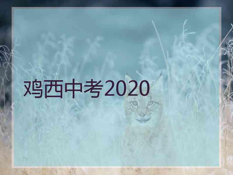 鸡西中考2020