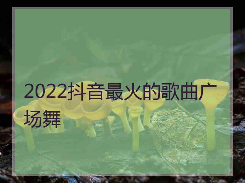 2022抖音最火的歌曲广场舞