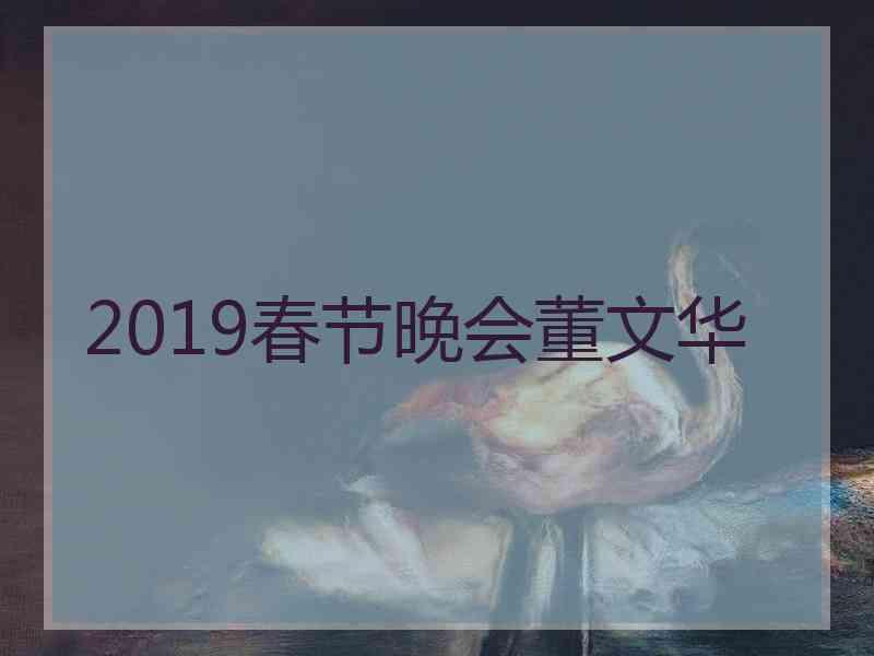 2019春节晚会董文华