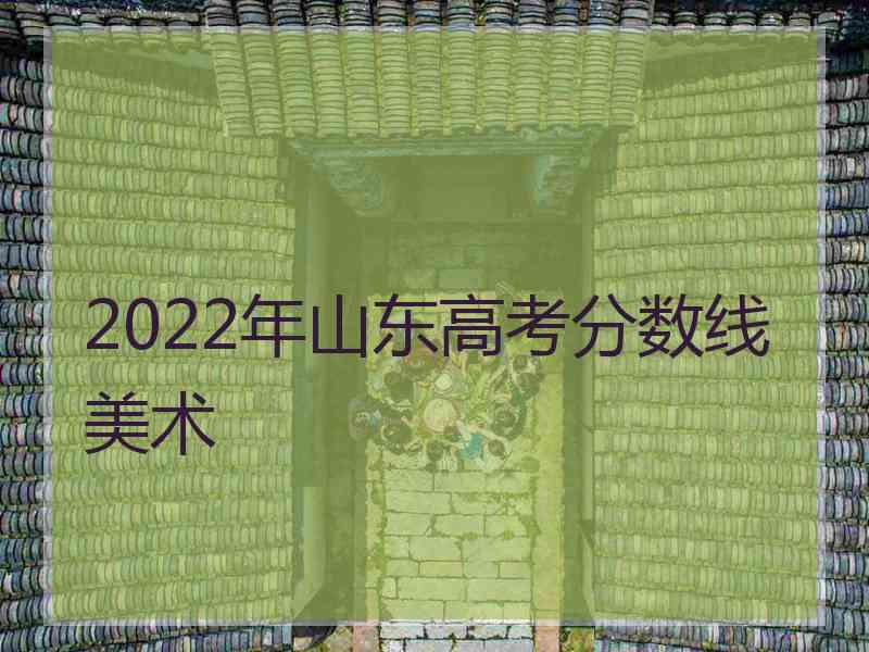 2022年山东高考分数线美术