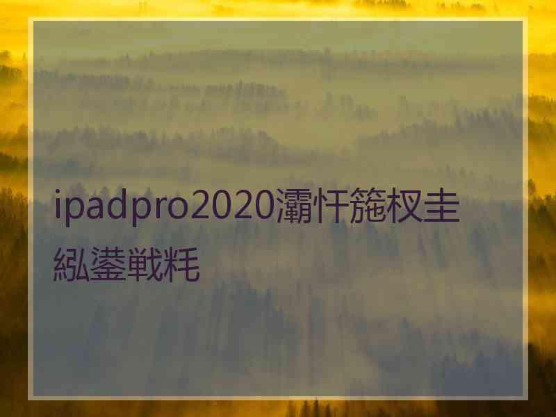 ipadpro2020灞忓箷杈圭紭鍙戦粍