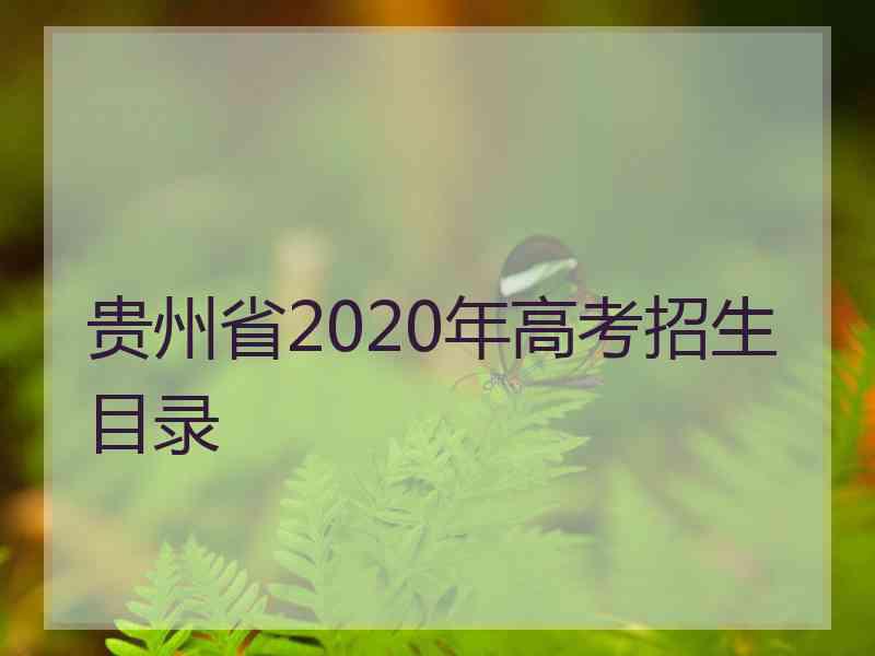 贵州省2020年高考招生目录