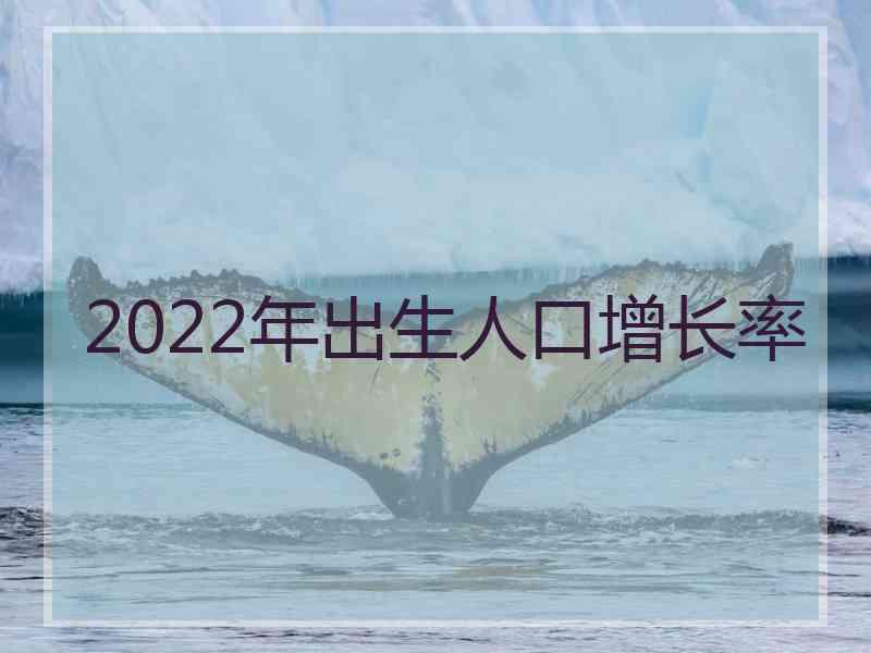 2022年出生人口增长率