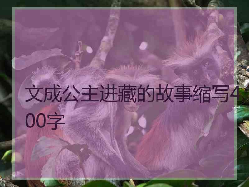 文成公主进藏的故事缩写400字