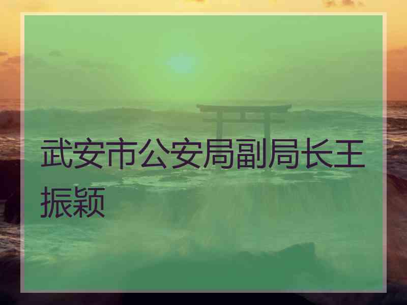 武安市公安局副局长王振颖